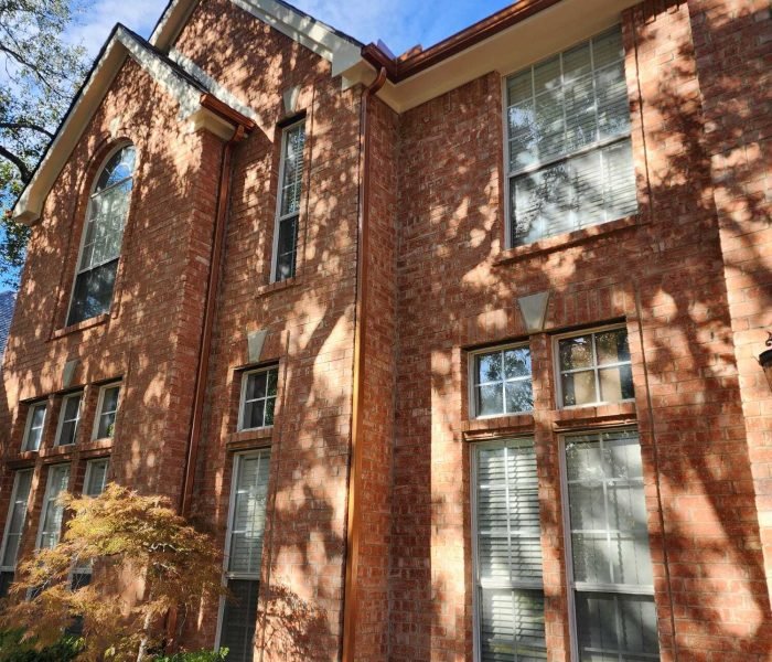 Imagen de WhatsApp 2024-12-14 a las 12.17.41_56dee454