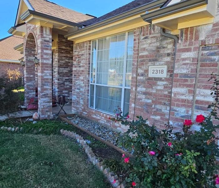 Imagen de WhatsApp 2024-12-14 a las 12.17.48_b404e6a6